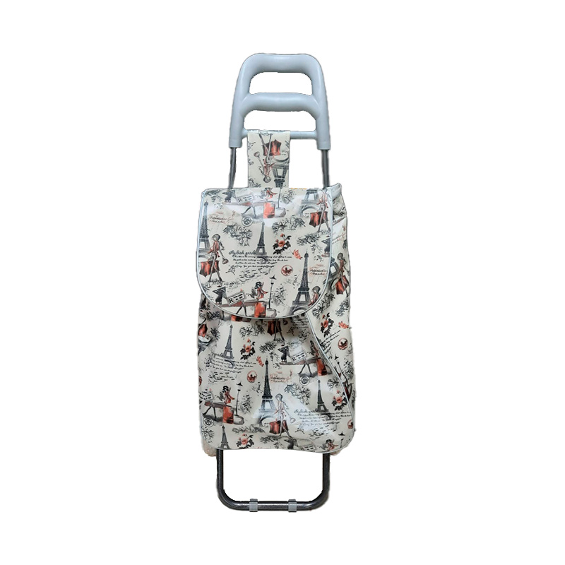 Coche Con Bolsa